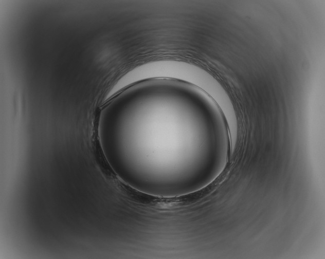 X0000102400560200808011549