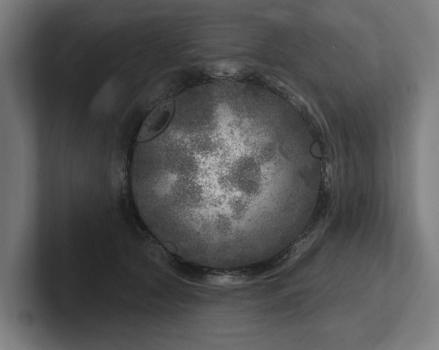 X0000102400561200808011549