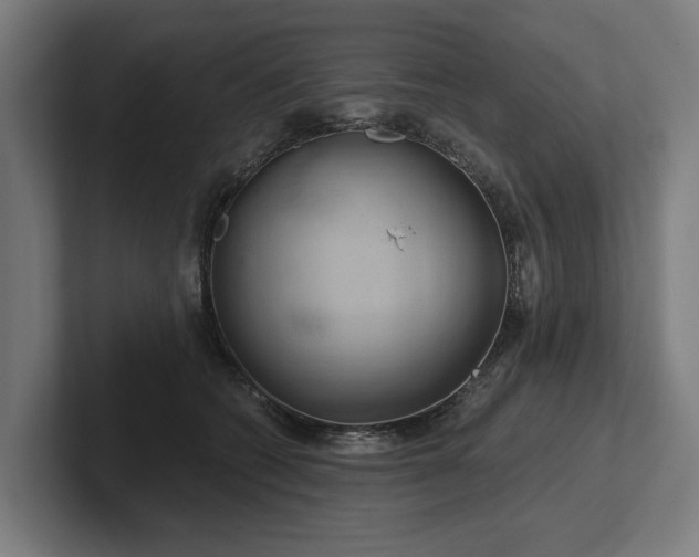 X0000102400562200808011549