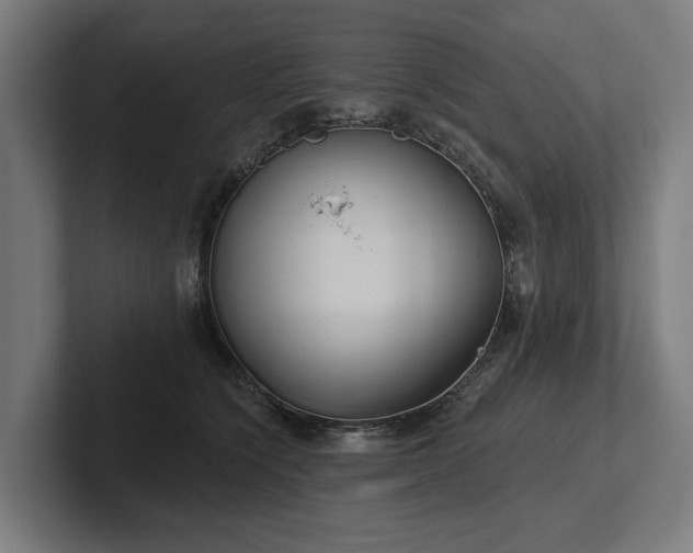 X0000102400564200808011549