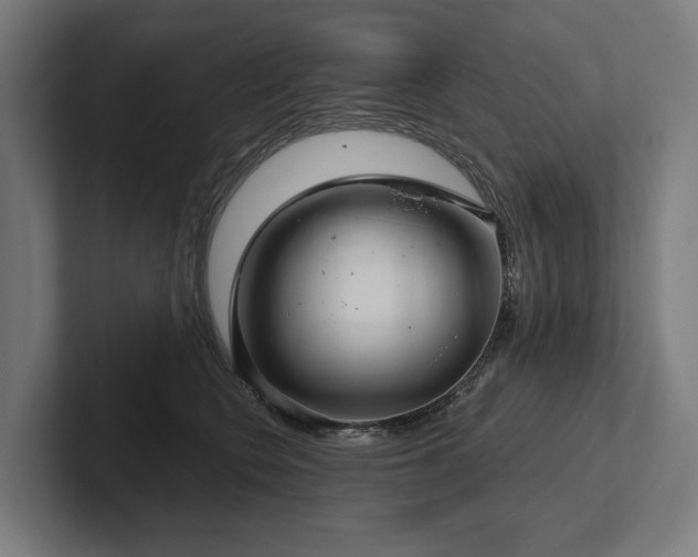 X0000102400566200808011549