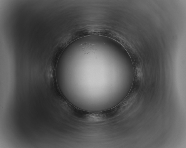 X0000102400567200808011549