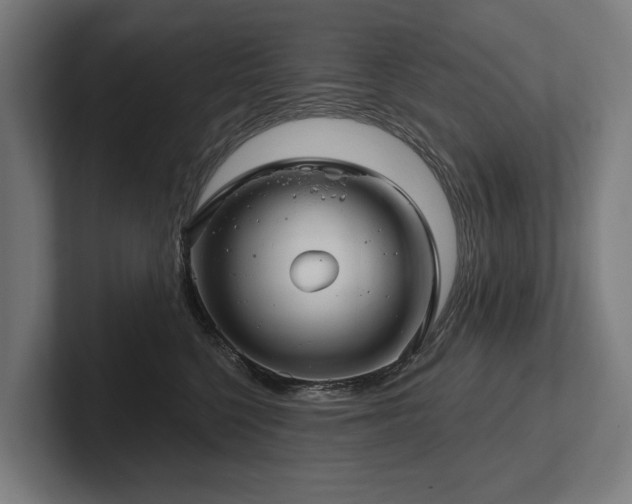 X0000102400568200808011549