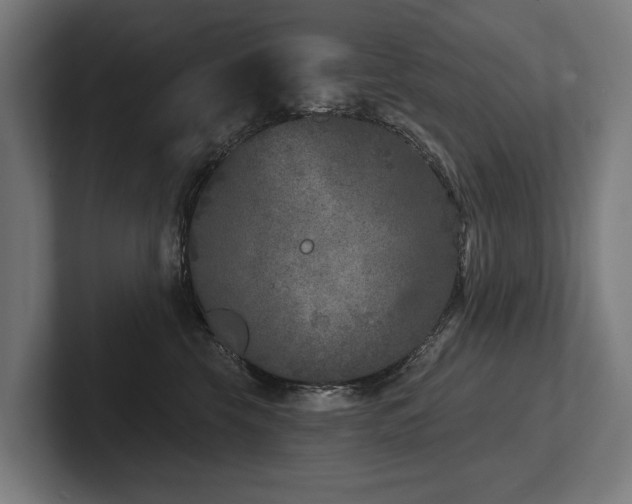 X0000102400569200808011549