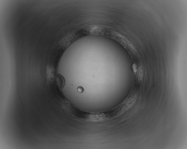 X0000102400571200808011549