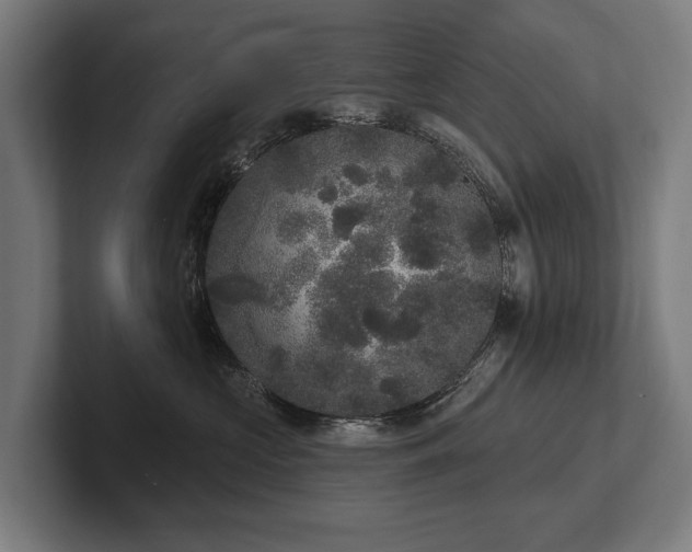 X0000102400573200808011549