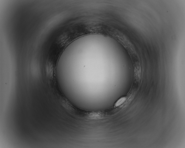 X0000102400574200808011549