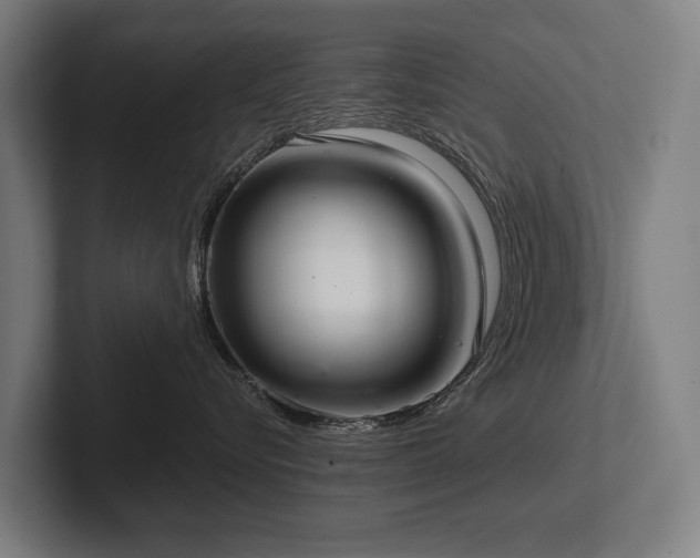 X0000102400576200808011549