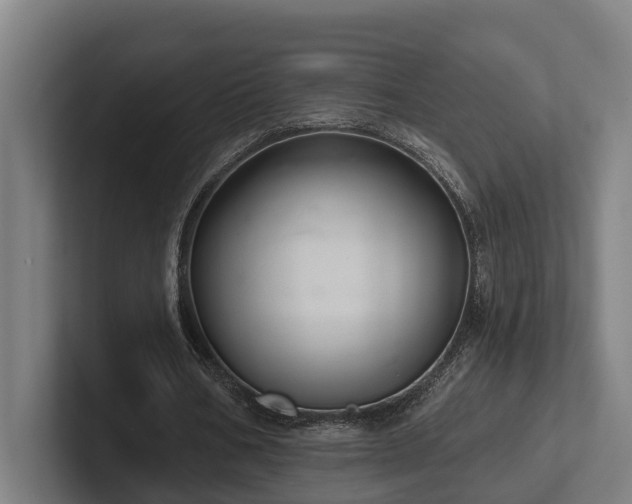 X0000102400578200808011548