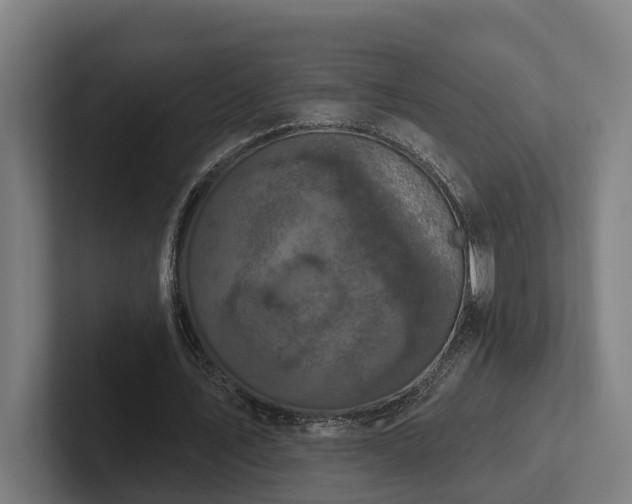 X0000102400579200808011548