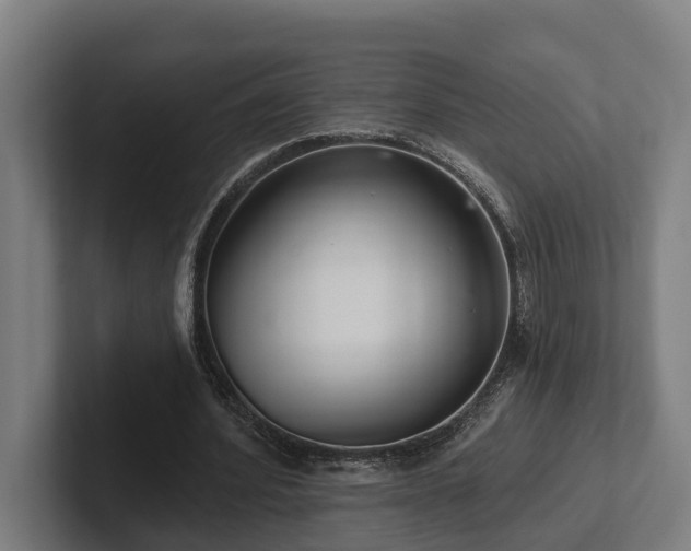 X0000102400580200808011548