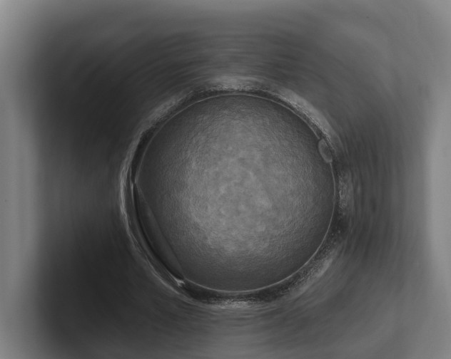 X0000102400581200808011548