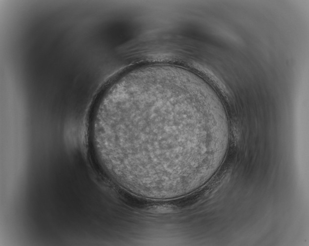 X0000102400583200808011548