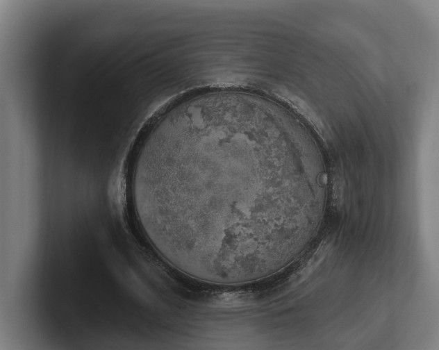 X0000102400584200808011548