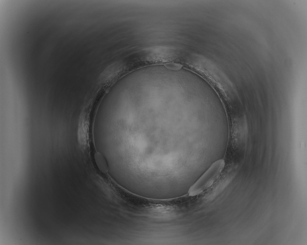 X0000102400585200808011548