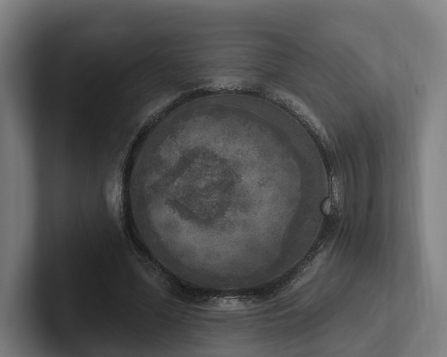 X0000102400588200808011548