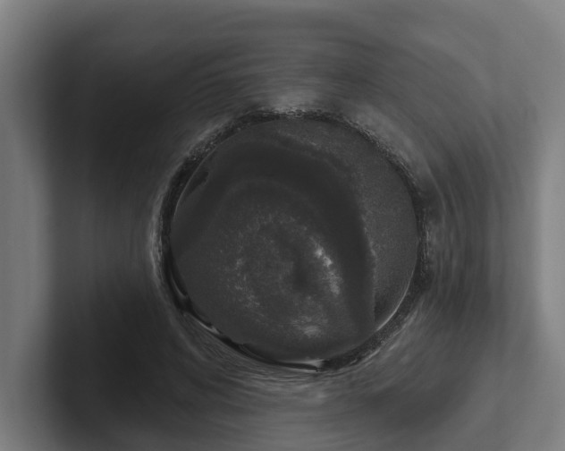 X0000102400592200808011548