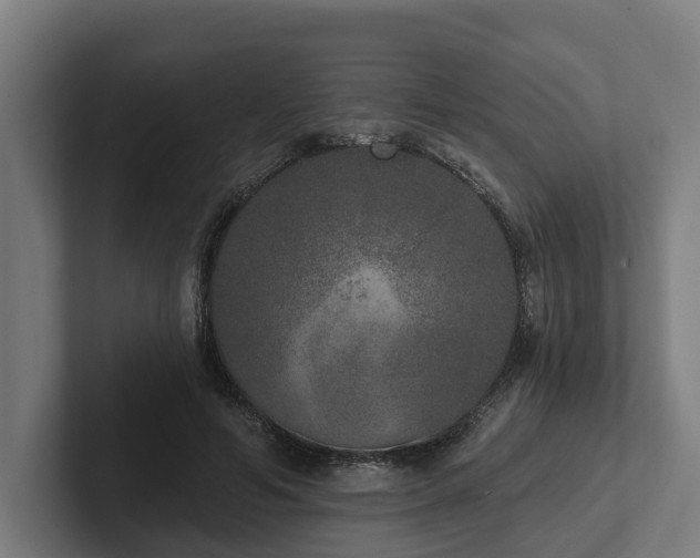 X0000102400594200808011548