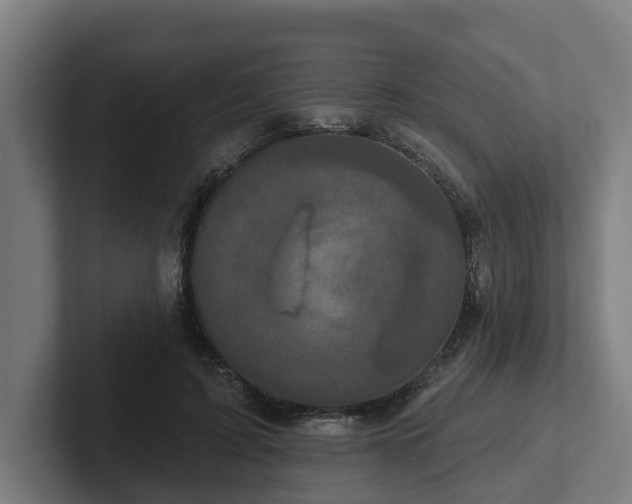 X0000102400595200808011548