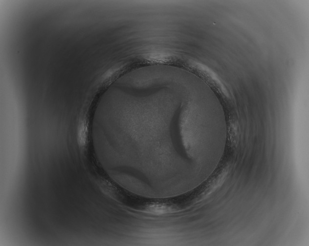 X0000102400596200808011548