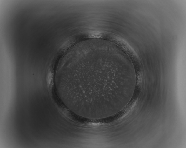 X0000102400598200808011548