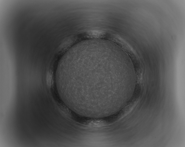 X0000102400599200808011548