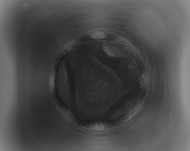 X0000102400600200808011548