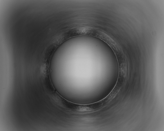 X0000102400605200808011548