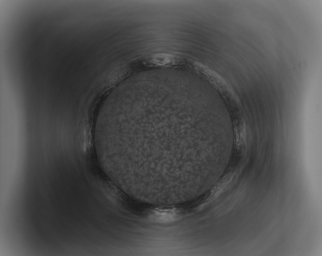 X0000102400606200808011548