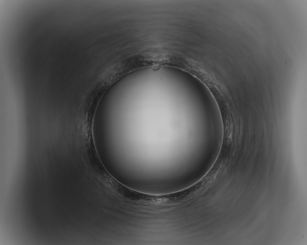 X0000102400609200808011548