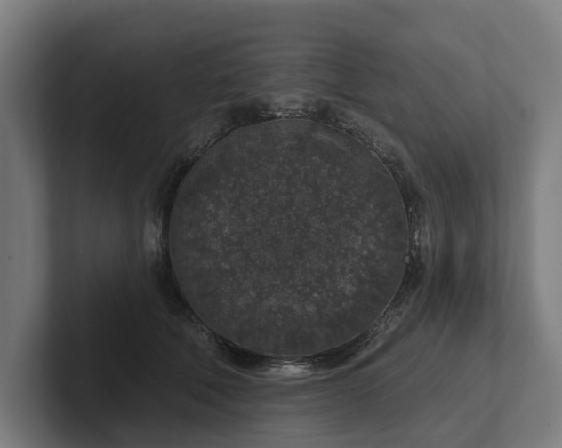 X0000102400610200808011548