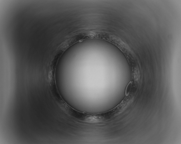 X0000102400611200808011548