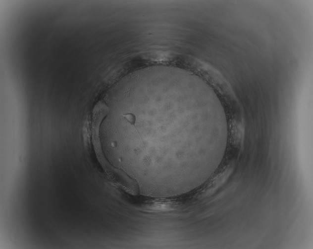 X0000102400612200808011548