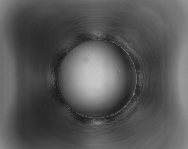 X0000102400613200808011548