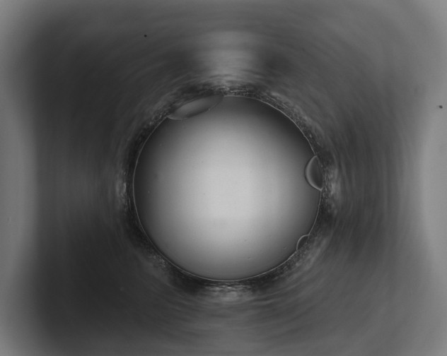 X0000102400615200808011548