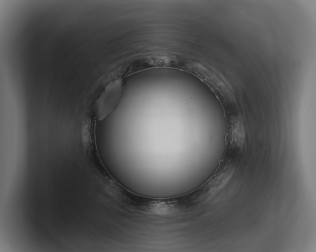 X0000102400616200808011548