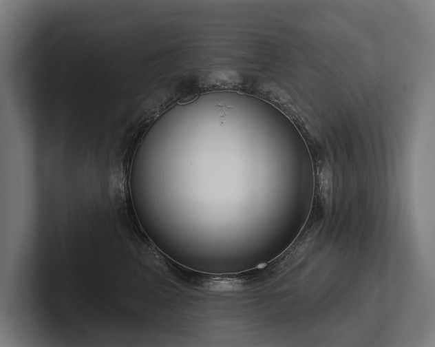 X0000102400617200808011548