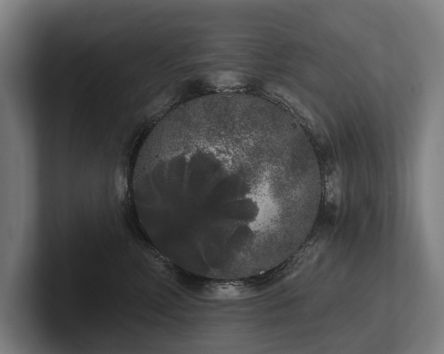 X0000102400618200808011548