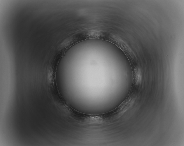 X0000102400619200808011548