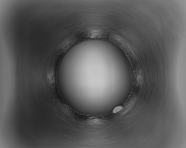 X0000102400620200808011548