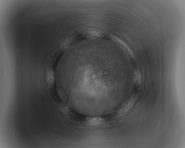 X0000102400621200808011548