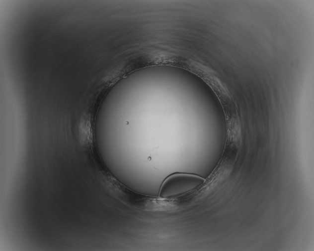 X0000102400622200808011548