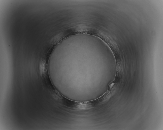 X0000102400623200808011548