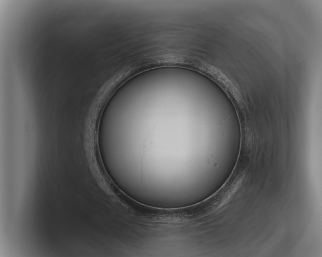 X0000102400625200808011547