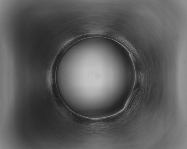 X0000102400628200808011547