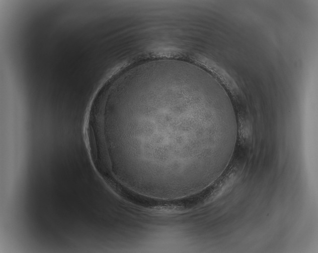 X0000102400630200808011547