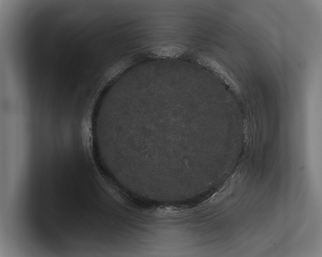 X0000102400634200808011547