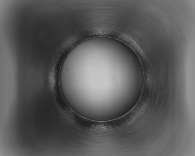 X0000102400635200808011547