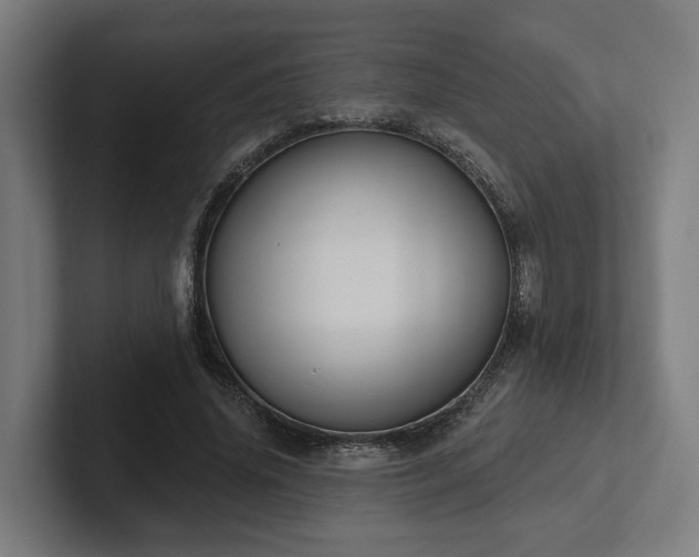 X0000102400636200808011547