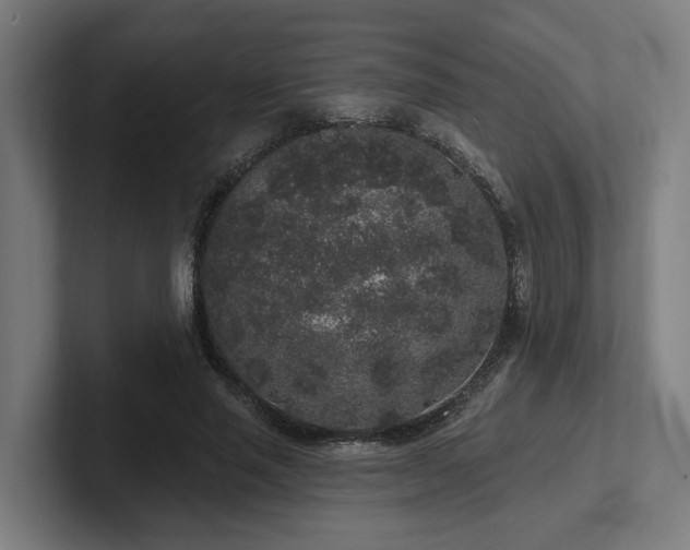 X0000102400637200808011547